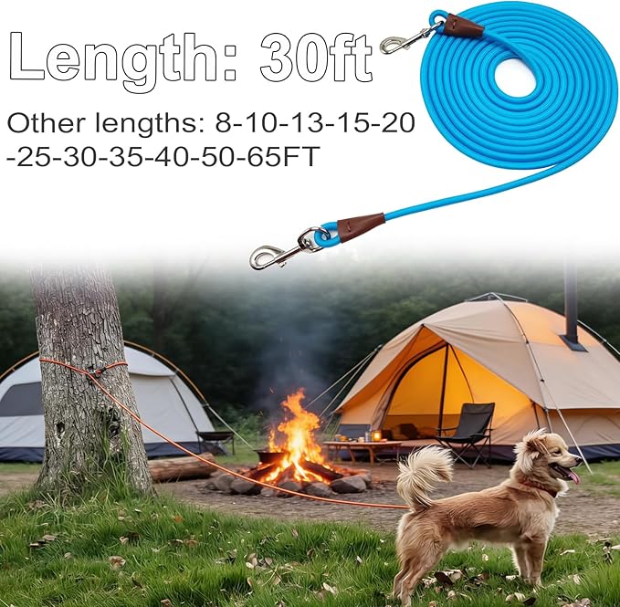 30FT Tie Out Rope Dog Leash, Long Tether 10-15-20-30 FT Dog Tie Down Nylon Check Cord for Medium Large Dogs Outdoor Playing Camping Backyard (Blue, 3/8")