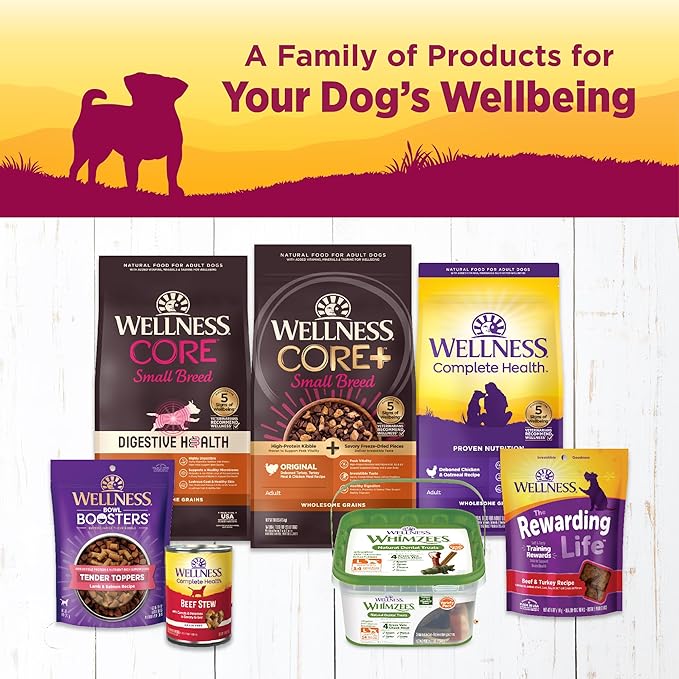 Wellness Petite Entrees Mini Filets Small Breed Adult Wet Dog Food, Grain Free, Natural, Tender Turkey, Green Beans, and White Sweet Potato, 3 oz, Pack of 12 Cups