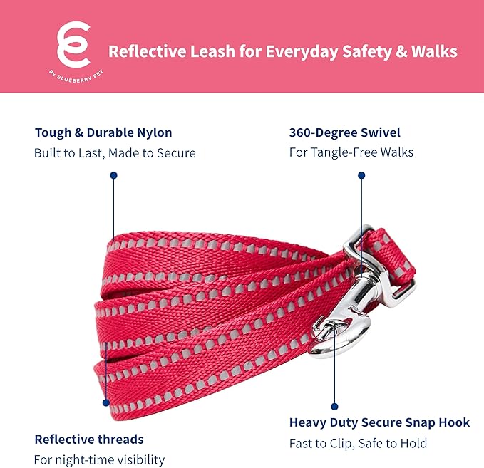 Blueberry Pet Essentials Reflective Dog Collar & Leash Set, Adjustable for Small Dogs | Safe Walking Gear for Pet Parents, Puppy Training & Daily Use SmallDogs, Very Berry