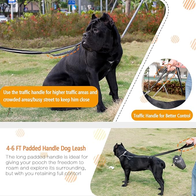 Heavy Duty Dog Leash and LED Light Set, LED Light with Nylon Stickers, Universal Glowing Accessories Easy to Attach Collar Leash and Harness, Safety LED Light Up Band for Dogs at Night Walking