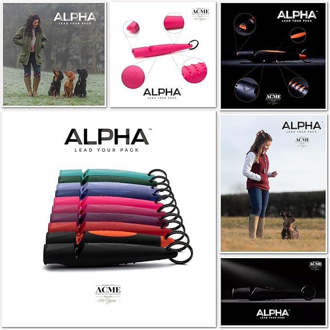 ACME Alpha 211.5 Professional Dog Training Whistle with Enhanced Ergonomic Grip. BPA-Free Plastic. 110 dBA. Long Range. Standardized Frequency. Weatherproof. Made in the UK (Black on Day Glow Orange)