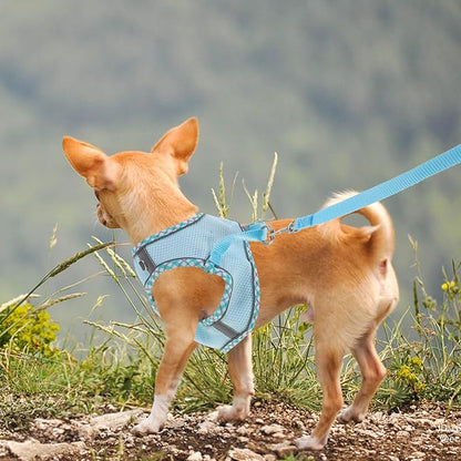COLLBATH Adjustable Reflective Dog Harness Vest and Leash Set, Portable Lightweight Puppy Harness for Large Dogs, Soft Breathable Blue L Size, Outdoor Walking and Training Equipment