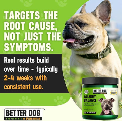 Better Dog Supplements Allergy Balance by Cesar Millan – Natural Allergy Support Powder for Dogs – Seasonal Allergies, Itching & Occasional Allergy Relief with Herbal Ingredients – 4oz (60-Day Supply)