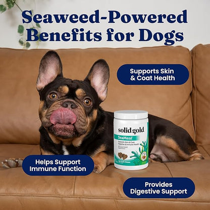 Solid Gold Cat & Dog Multivitamin Chews - Kelp, Omega 3 & Vitamins for Dental, Digestive, Immune, Skin & Coat Health - Multi Vitamin for Dogs & Cats - Sea Kelp Based Soft Chew for All Ages - 120ct