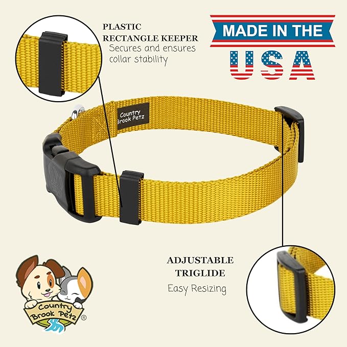 Country Brook Petz - Everyday Nylon Dog Collar for Large, Medium, and Small Dogs and Puppies - for Everyday Use in 10+ Warm Colors (Extra Large, 1 Inch Wide, Gold)