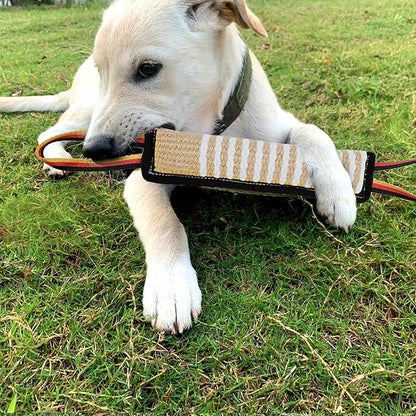 ASOCEA Dog Tug Toy,Bite Jute Pillow Pull Toy Tough Squeaky Dog Toys with 2 Handles for Medium to Large Dogs Interactive Toy Tug of War Lasting Training Equipment