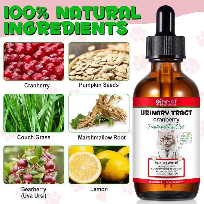 Urinary Tract for Cats, Natural Cat Urinary Tract Infection Treatment Drops Supports Bladder, Kidney Stone, Cat UTI, Cranberry Kidney Bladder Support Supplement, Chicken Flavor - 60ml / 2.02oz