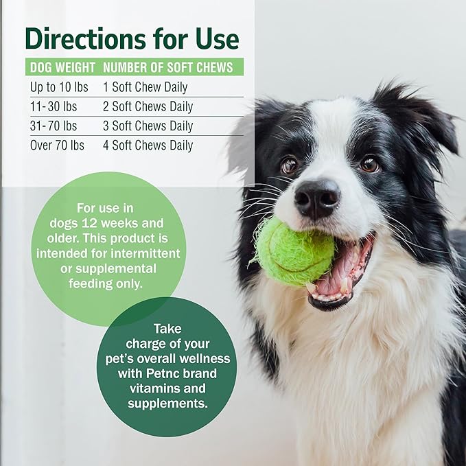 PetNC Natural Care Liver Flavor,Cheese Pre & Probiotic Soft Chews for Dog 120 ct (Pack of 1) (Packaging May Vary)