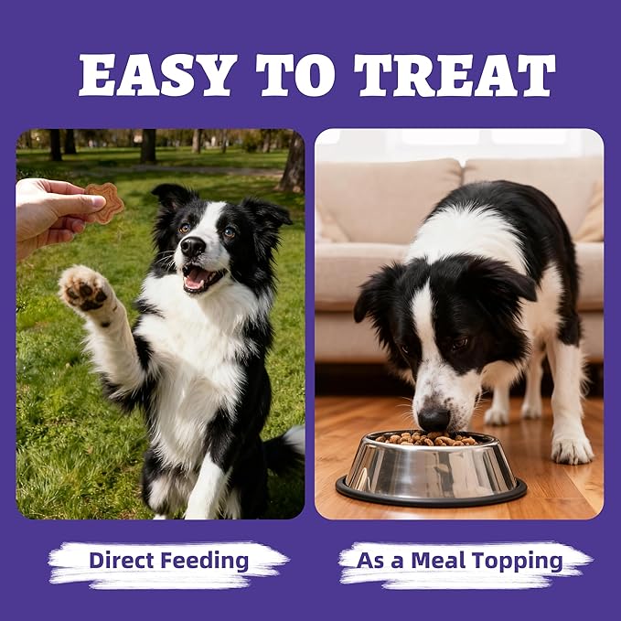 Just Try 15 OZ Blueberry Dog Treats Biscuits Eye Function Immune Support for Dogs Training Treats Healthy Dog Treats
