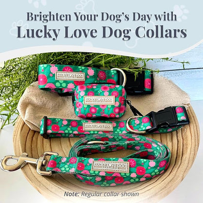 Lucky Love Dog Martingale Dog Collar - Adjustable, No-Slip, Durable, & Soft Webbing Collar for Male and Female Dogs Ideal for Training & Walking - Penny, Medium