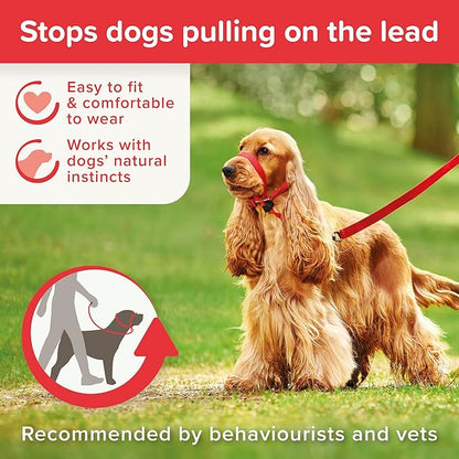Beaphar | Gentle Leader | Head Collar for Medium Dogs | Stops Pulling On The Lead | Training Aid with Immediate Effect | Endorsed by Behaviourists | Red x 1