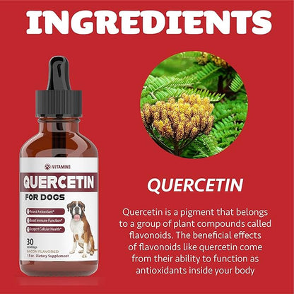 Quercetin for Dogs | Dog Allergy Relief | Quercetin for Dogs Allergies | Dog Allergy | Quercetin | Dog Allergy Support | Quercetin Dog | Dog Allergies | Quercetin Supplements | Bacon Flavor (2 Pack)