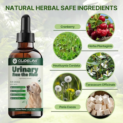 Bladder & Kidney Stones Dissolver for Dogs – Helps with Stone and Crystals Fragment Flush & Prevention – Natural Dog UTI Treatment, Herbal Vet-Formulated, Dog Urinary Tract Infection Treatment
