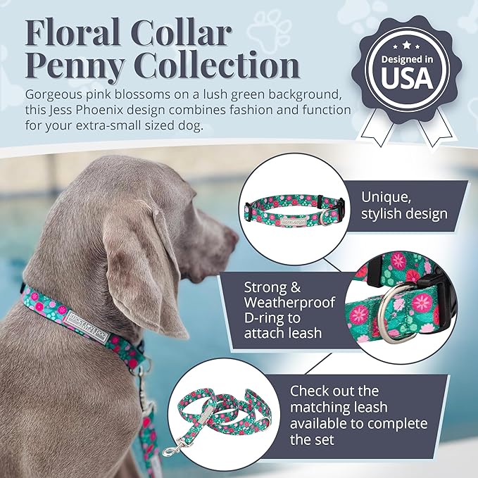 Lucky Love Dog - Adjustable Dog Collar with Easy Click Buckle for Small Dogs, Durable, & Comfortable for Male & Female Dogs, Pet Collar for Puppies & Adult Ones - Penny, XS