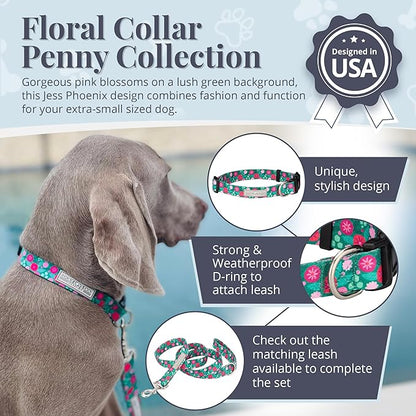 Lucky Love Dog - Adjustable Dog Collar with Easy Click Buckle for Small Dogs, Durable, & Comfortable for Male & Female Dogs, Pet Collar for Puppies & Adult Ones - Penny, XS