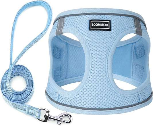 Dog Harness with Leash Set, No Pull Adjustable Reflective Step-in Puppy Pet Vest Harnesses for Small Medium Large Dogs and Cats,Sky Blue XL
