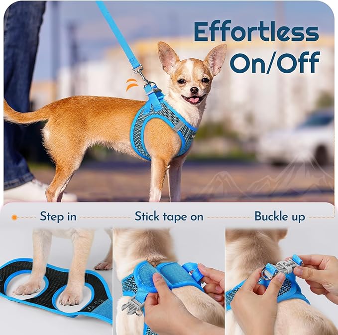 Eagloo Small Dog Harness and Leash Set, Step in Puppy Vest with Breathable Soft Mesh, Walking Reflective Pet Harness for Medium Small Dogs, Blue, L