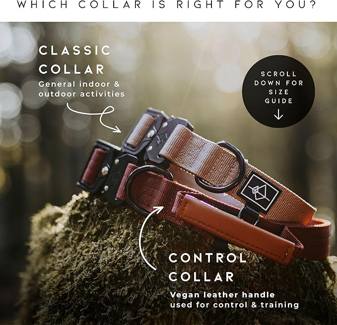 Made to ROAM Premium Dog Collar - Adjustable Heavy Duty Nylon Collar with Quick-Release Metal Buckle (Alaska Daybreak, Classic Size 2.5)