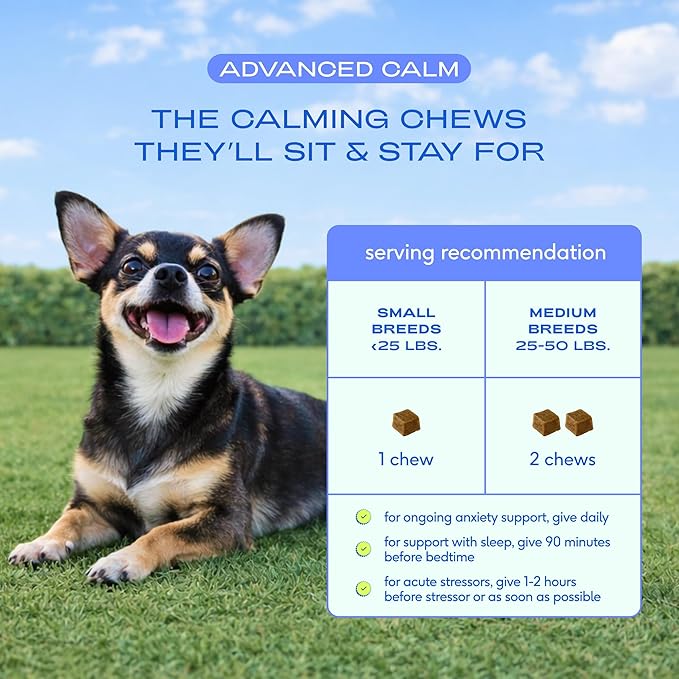Native Pet Advanced Calming Chews for Dogs Medium Breed - Anxiety Relief, Stress, Separation & Sleep Support with Melatonin for Dogs, Hydrolyzed Casein, Valerian Root & L-Tryptophan - 30 Days Supply