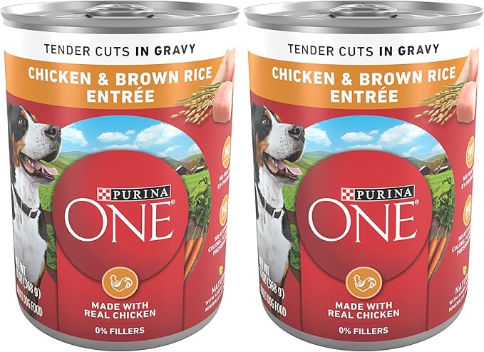 Purina ONE Natural High Protein Dog Food, Tender Cuts in Gravy Chicken and Brown Rice Entrée - 13 Ounce (Pack of 24)