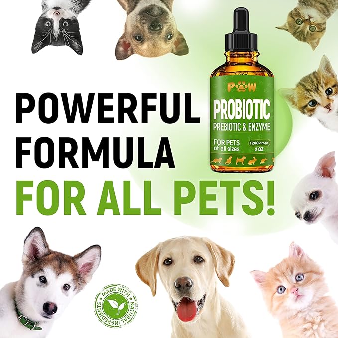Liquid Probiotics for Dogs & Cats of All Ages | Dog Probiotics to Provide Digestion Balance | Prebiotic Blend for Harmonious Food Absorption | 3 Billion CFU | Herbal Flavor | 2 Oz