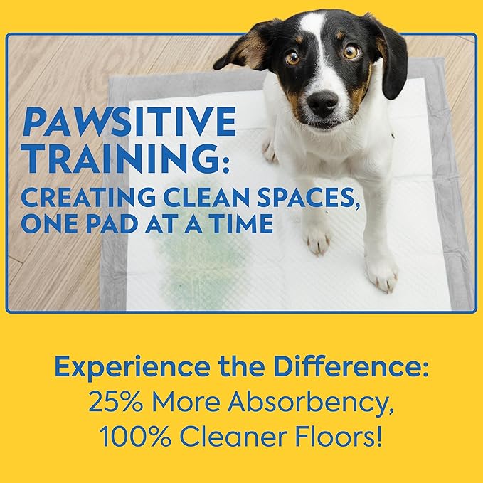 OUT! XXL Heavy Duty Dog Training Pads | Leak Proof | 26"x30" | 30 Count, Pack of 4