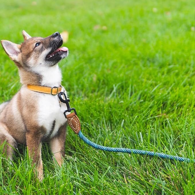 Mile High Life Rope Leash with Genuine Leather Connection, 6 FT/5 FT/4 FT, Heavy Duty Leash for Medium & Large Dogs (Turquoise Green, 72 Inch)