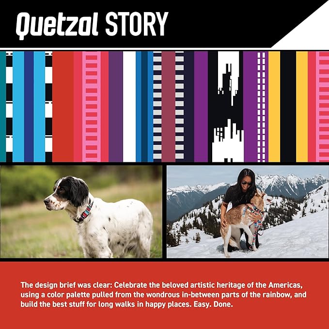Wolfgang Heavy Duty Dog Leash, Pull-Tested to Over 800 lbs for Walking & Training, Quetzal Print, Small