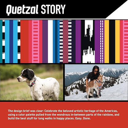 Wolfgang Heavy Duty Dog Leash, Pull-Tested to Over 800 lbs for Walking & Training, Quetzal Print, Large