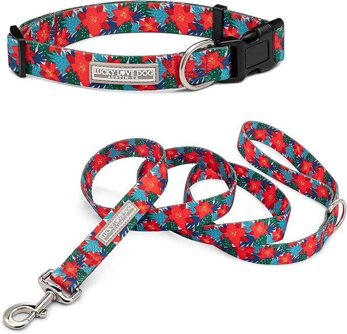 Lucky Love Dog - Easy Click Noel Dog Collar with Leash Set Combo, Durable & Comfortable for Male & Female Dogs, Pet Collar for Small Dogs, Secure Fit - Noel Combo, Small
