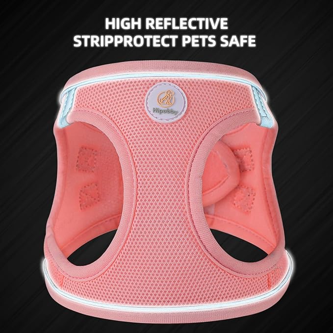Hipubby Dog Harness and Leash Set, No Pull Soft Mesh Puppy Harness for Small Medium Dogs, Cats - Step in Reflective Breathable Lightweight Vest Harness for Walking, Training - Pink, S