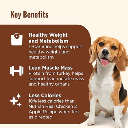 Nutrish Rachael Ray Weight Management Wet Dog Food Premium Paté Real Turkey & Pumpkin Recipe,13 oz. Can,(Pack of 24)