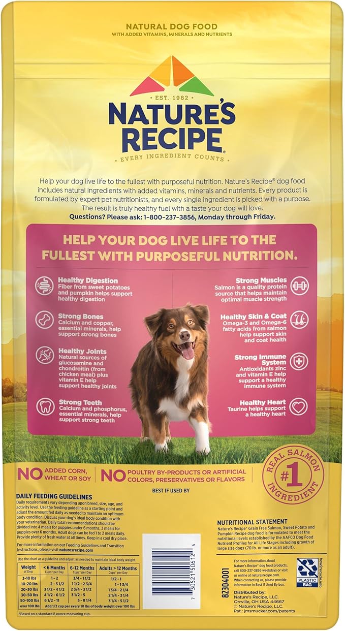 Natureâ€²s Recipe Grain Free Salmon, Sweet Potato & Pumpkin Recipe Dry Dog Food, 4 lb. Bag (Pack of 2)
