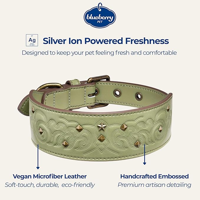 Blueberry Pet Premium Embossed Sage Green Glam Silver-Powered Freshness Microfiber Leather Dog Collar with Antique Brass Studs