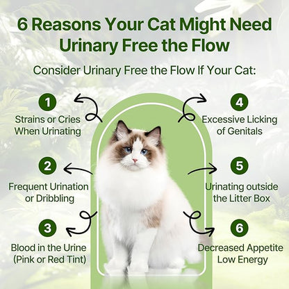 Cat Bladder Treatment for Stones & Crystals, Kidney Stones Dissolver for Cat - Urinary Tract Infection Treatment for Kidney and Bladder Stones, Herbal CatUTI Remedy for Stone Relief & Prevention