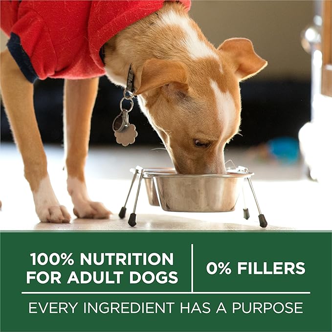 Purina One Small Breed Plus High-Protein Dog Food Lamb and Rice Formula Dry Dog Food - 15 lb. Bag