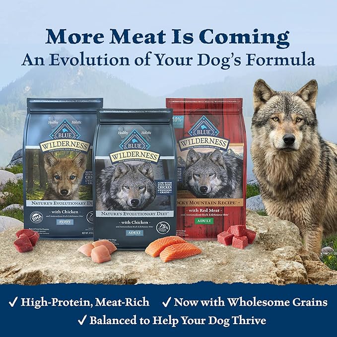 Blue Buffalo Wilderness High Protein Natural Adult Dry Dog Food Plus Wholesome Grains, Chicken 11-lb