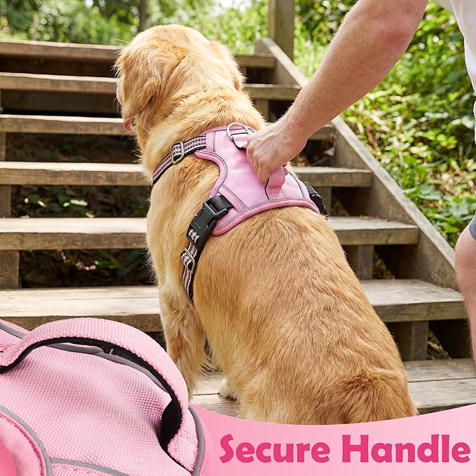 Funfox Dog Harness No Pull, Adjustable Pet Vest Harness, Super Soft Material with Vertical Handle Easy Control, Reflective Night Walking, 2 Leash Clips for Small Sized Dogs, Pink, S