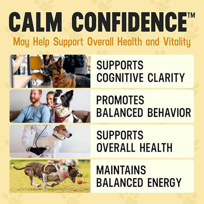 Better Dog Supplements Calm Confidence by Cesar Millan Natural Brain Support & Dog Cognitive Supplement – Energy, Vitality & Focus Supplement with Ashwagandha & Other Herbs – 4oz (60-Day Supply)