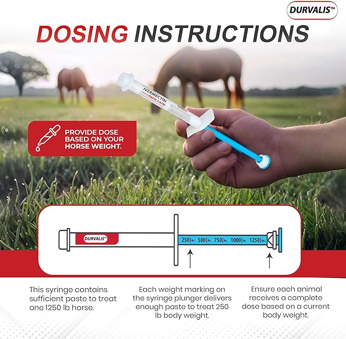 Ivermectin Horse Paste 1.87% Dewormer 6.08g Dose-Effective Appled Flavored Ivermectin Paste for Equine Care,Horse Deworming Paste -for Horses Up to 1250 lb (6 Pack)