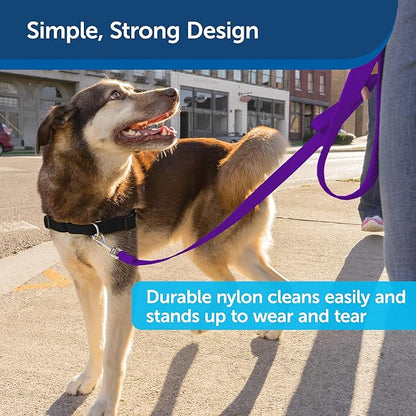 PetSafe Nylon Leash - Helps Maintain Secure Connection on Walks - Durable Pet Leash with Easy Clip - 1 in. x 6 ft. - Deep Purple