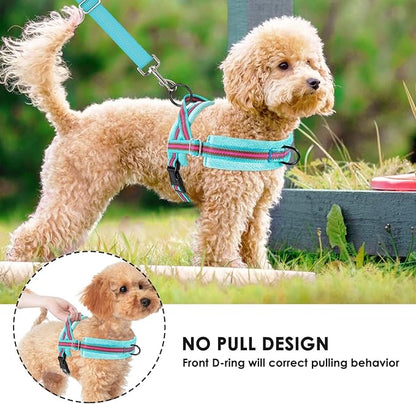 Lukovee No Pull Dog Harness and Leash Set, Soft Padded Small Dog Harness, Neck & Chest Adjustable Reflective Vest Puppy Harness with 4ft Lightweight Anti-Twist Dog Leash for Small Dogs (XXS, 01-LBL)