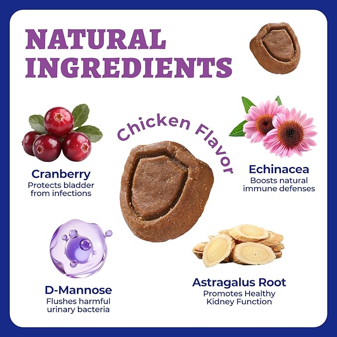 260 Bites Wellix Urinary Bites for Dog UTI Treatment - Cranberry Supplement with D-Mannose Marshmallow Root for Dogs Urinary Tract & Kidney Bladder Support - Chicken Flavor