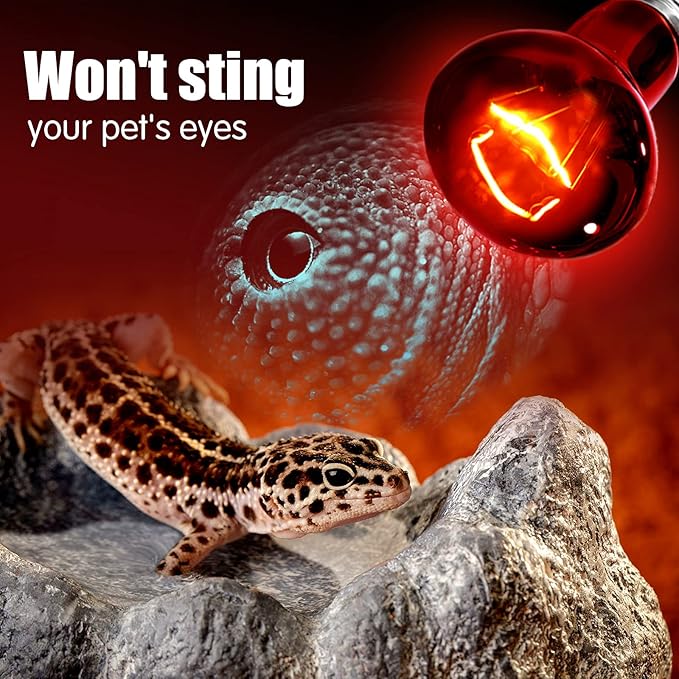 Infrared Heat Lamp Bulbs 100W 2 Pack,Red Basking Spot Light Bulb Reptile Heating lamp for Bearded Dragon,Turtle,Snake,Leopard Gecko,Chicked with Digital Temperature Thermometer
