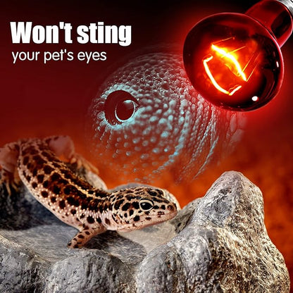 Infrared Heat Lamp Bulbs 100W 2 Pack,Red Basking Spot Light Bulb Reptile Heating lamp for Bearded Dragon,Turtle,Snake,Leopard Gecko,Chicked with Digital Temperature Thermometer
