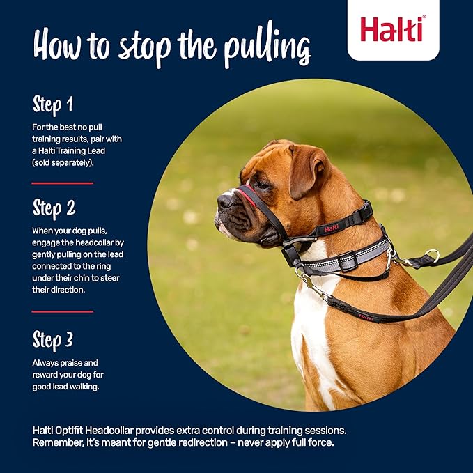 Halti Optifit Headcollar - Stop Your Dog Pulling on the Leash. Adjustable, Reflective and Lightweight, with Padded Nose Band. Dog Training Anti-Pull Collar for Large Dogs (Size Large)