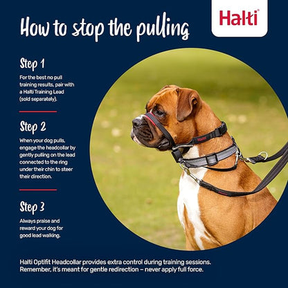 Halti Optifit Headcollar - Stop Your Dog Pulling on the Leash. Adjustable, Reflective and Lightweight, with Padded Nose Band. Dog Training Anti-Pull Collar for Large Dogs (Size Large)
