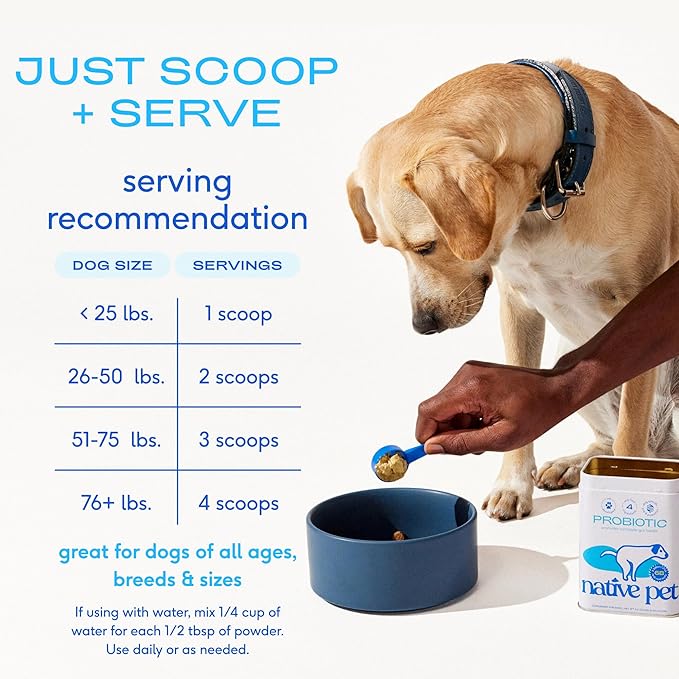 Native Pet Probiotics for Dogs – Dog Probiotic Powder for Gut & Digestive Health, Vet-Formulated 6B CFUs Dog-Specific Probiotic Strains, Supports Stool Quality & Diet Transitions – 240 Scoops