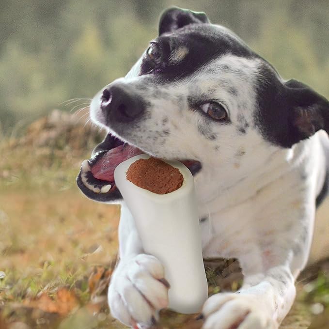 Cadet Stuffed Shin Bone for Dogs - Long-Lasting Chicken Flavored Dog Chew Bone for Aggressive Chewers - Supports Dog Dental Health, Large (1 Count) (Pack of 2)