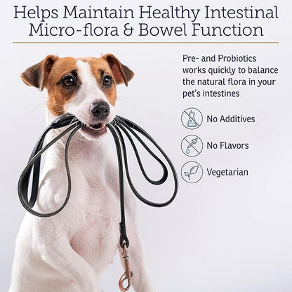 Rx Vitamins Rx Biotic - Probiotic Powder for Dogs and Cats - Cat Digestive Support & Probiotic for Dogs Gut Health - Dog Probiotics for Digestive Health - 1.25oz